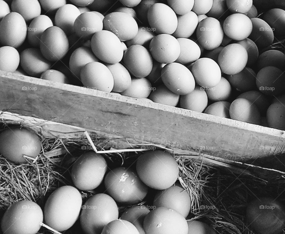 Chicken eggs