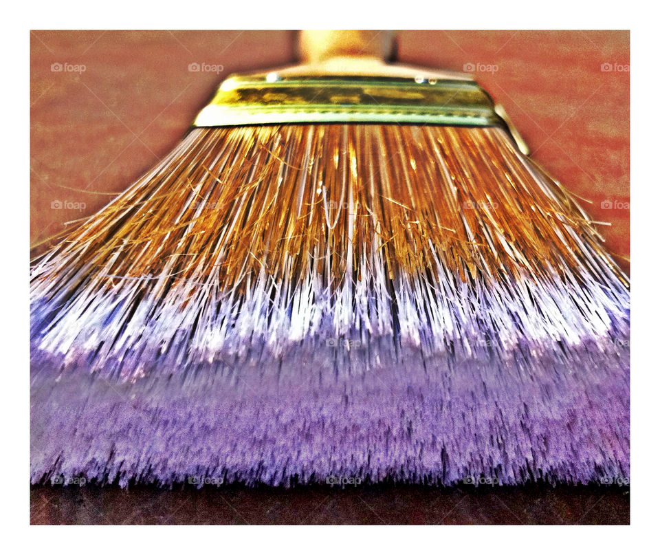 macro hdr paintbrush by leeannmc