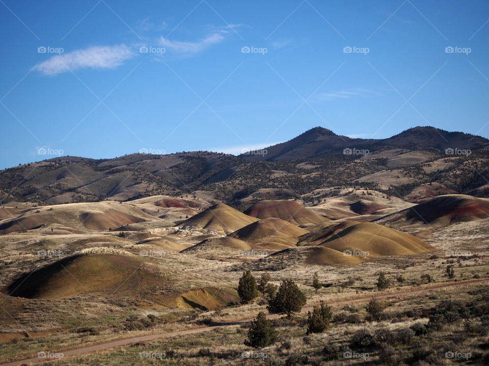 Multiple colored hills cover the landscape with a rich blue skies at the Painted Hills in the John Day Fossil Beds National Monument in Eastern Oregon on a sunny day.