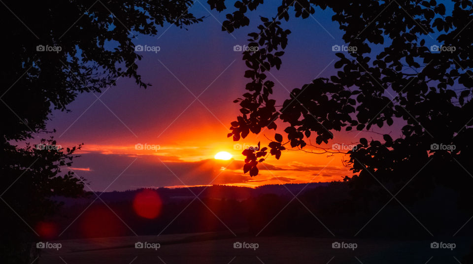 Sunset in the forest 