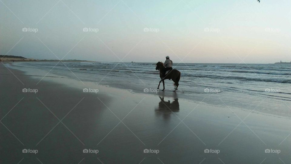 The man on horseback near the sea at essaouira city in Morocco.