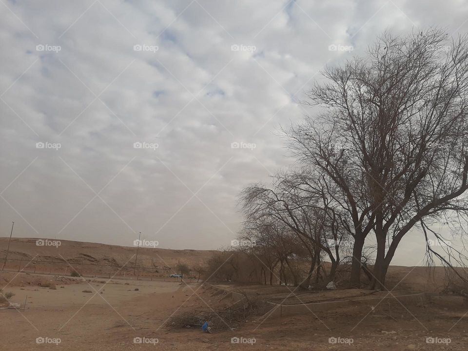 Please make me happy, I am poor, I need your help with support