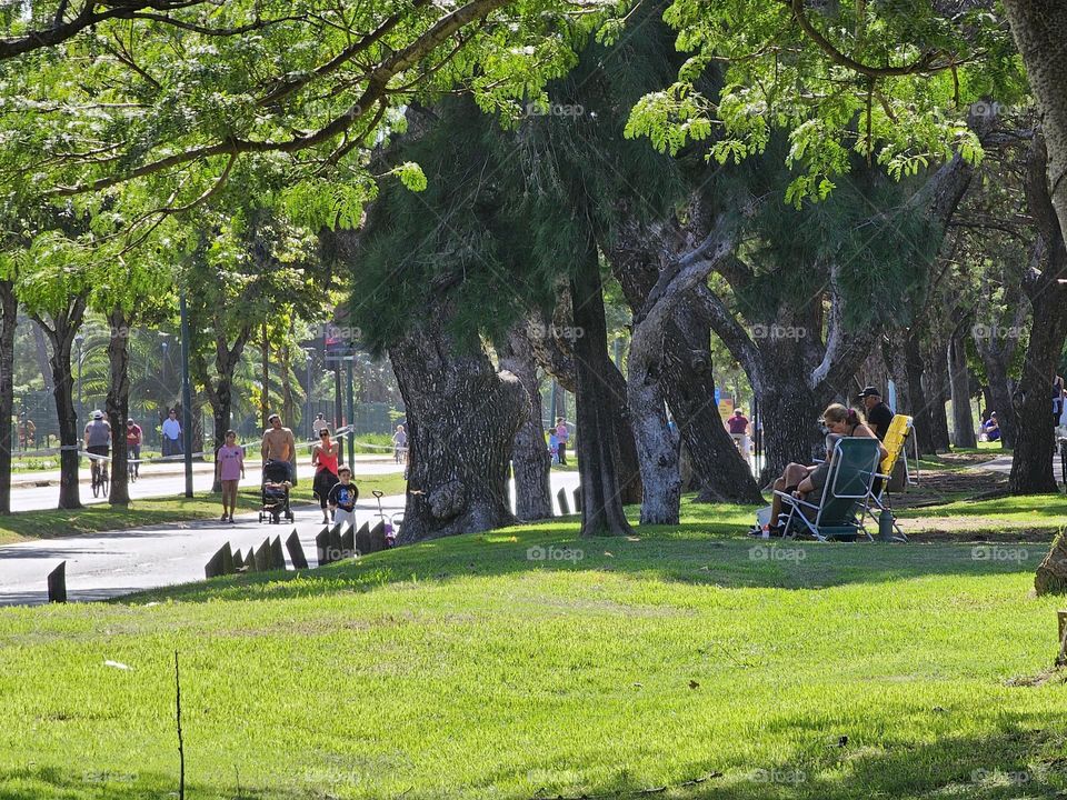 "Enjoying the outdoors on a Sunday". On a sunny day, some people run, some walk, others chat, some sit and enjoy the day. Green grass and trees a street with no cars and people in the distance.