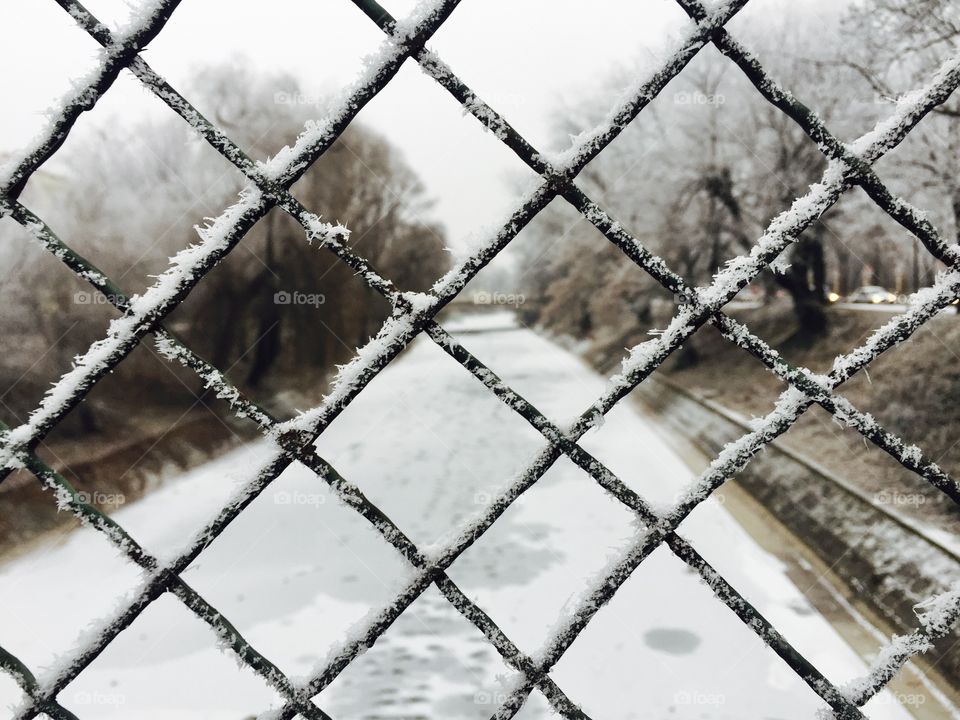 Frozen barbed wire fence