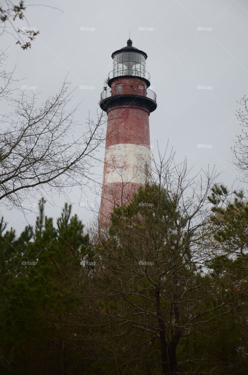 Chincoteague Light House