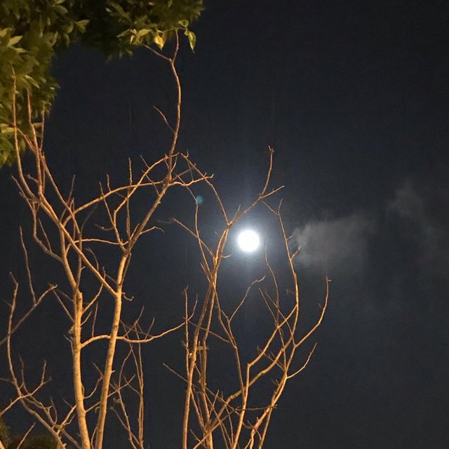 Night shoot 