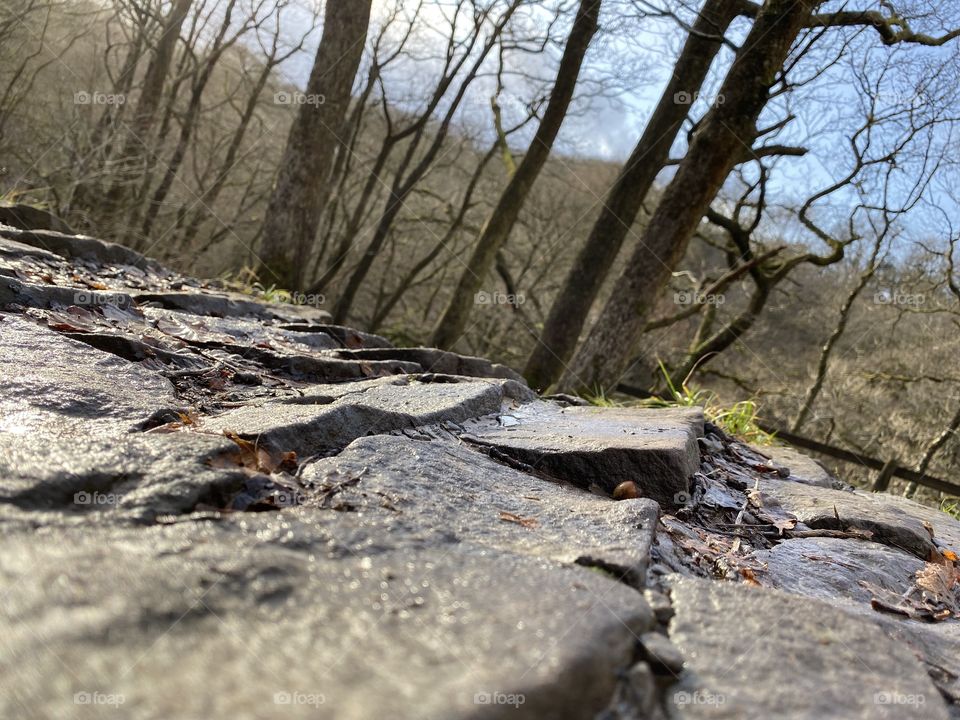 Wet stone, with trees and a hillside background. 