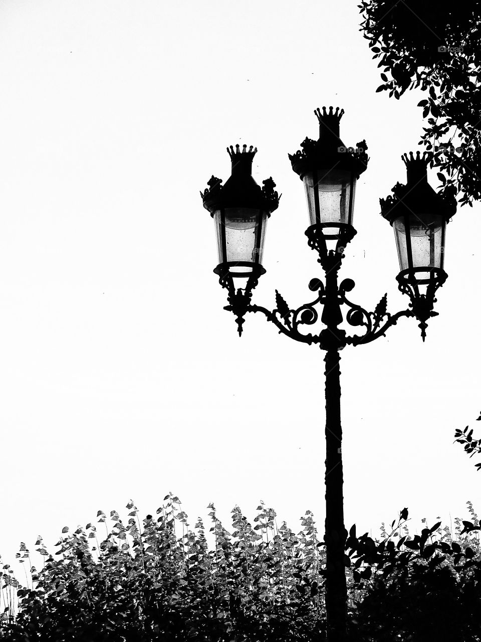 The garden lamppost