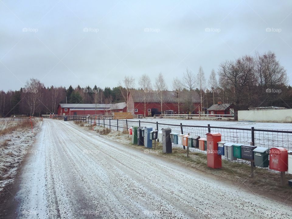 Winter on the farm