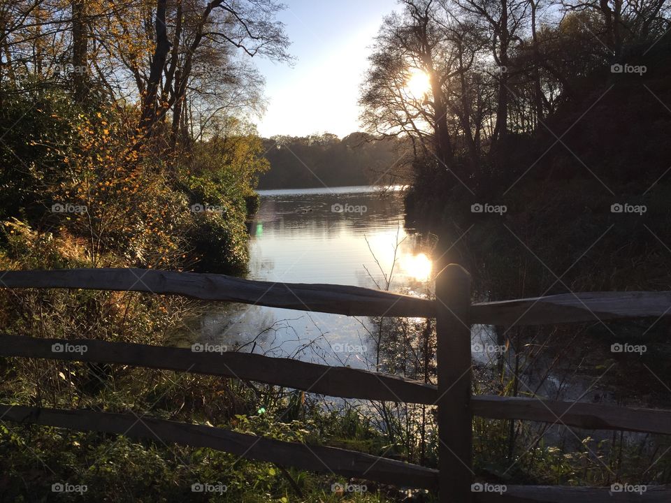 Lake in the countryside