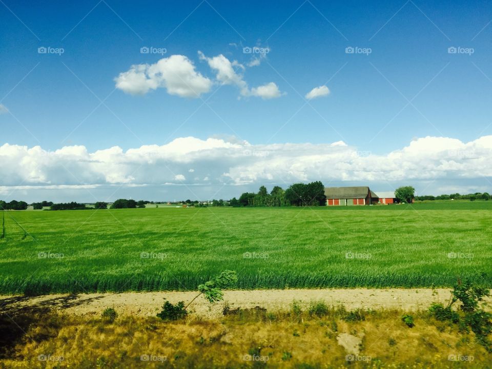 Swedish countryside in the summer