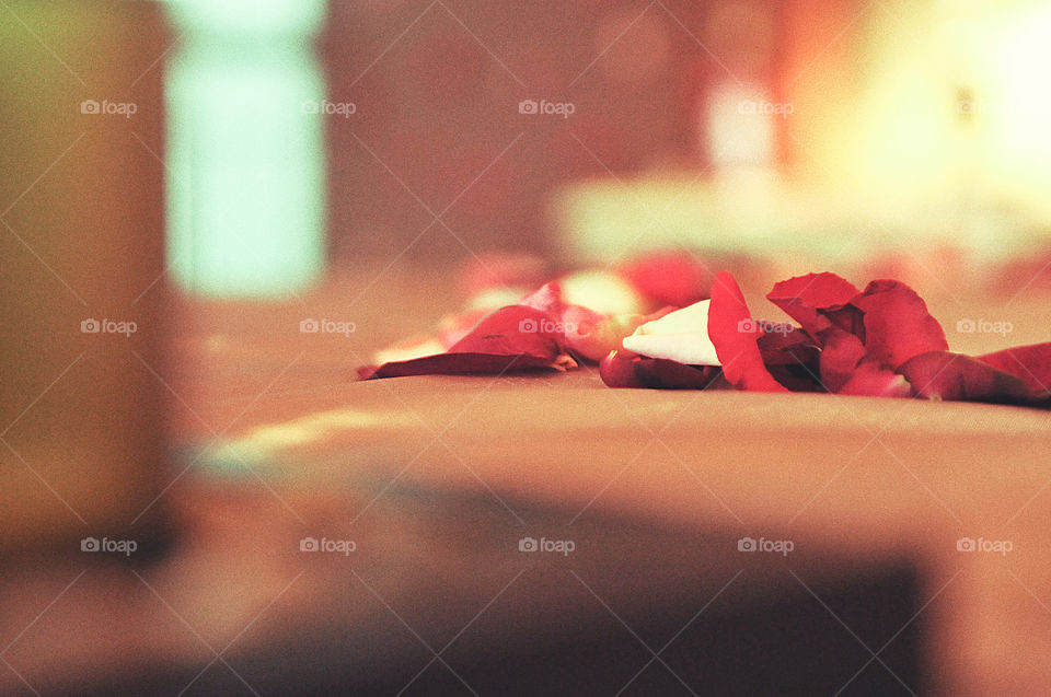 Close-up of red petals