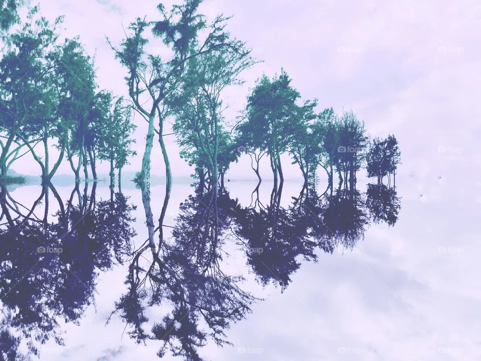 Reflection