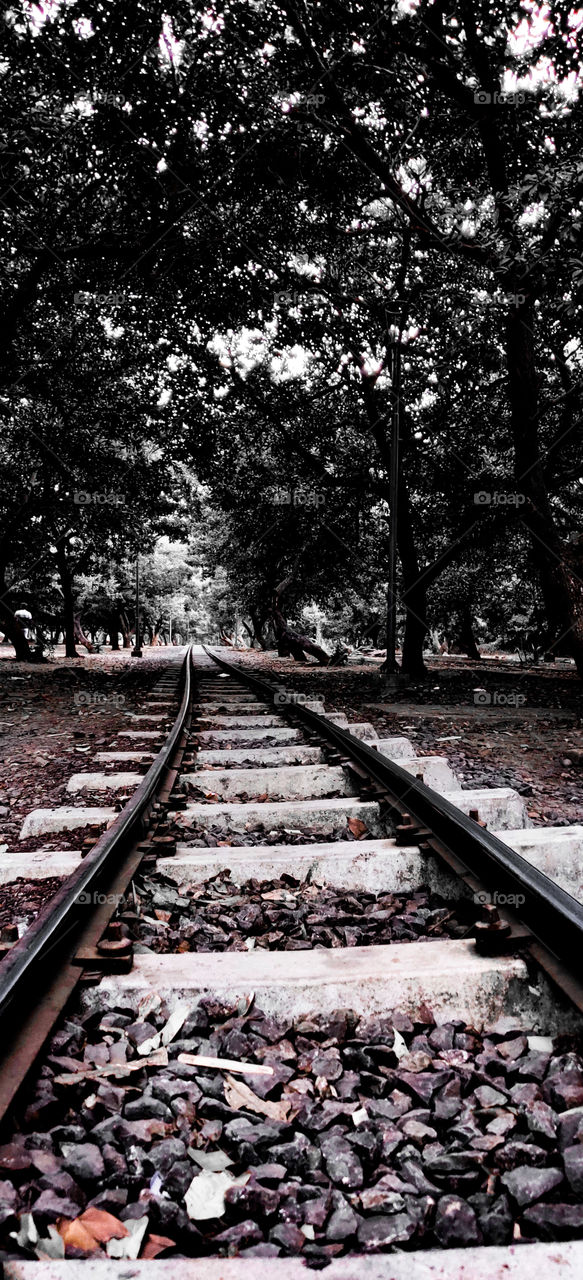 sneh botanical garden, surat