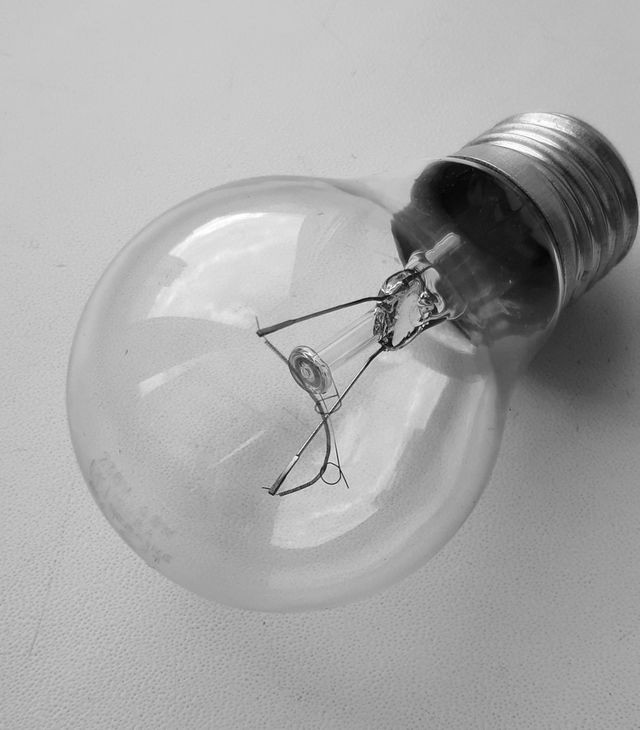 beauty of ordinary things: the bulb 💡