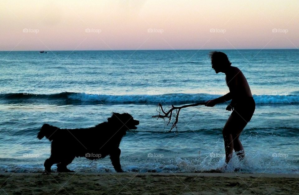 Silhouette of person with dog at beach