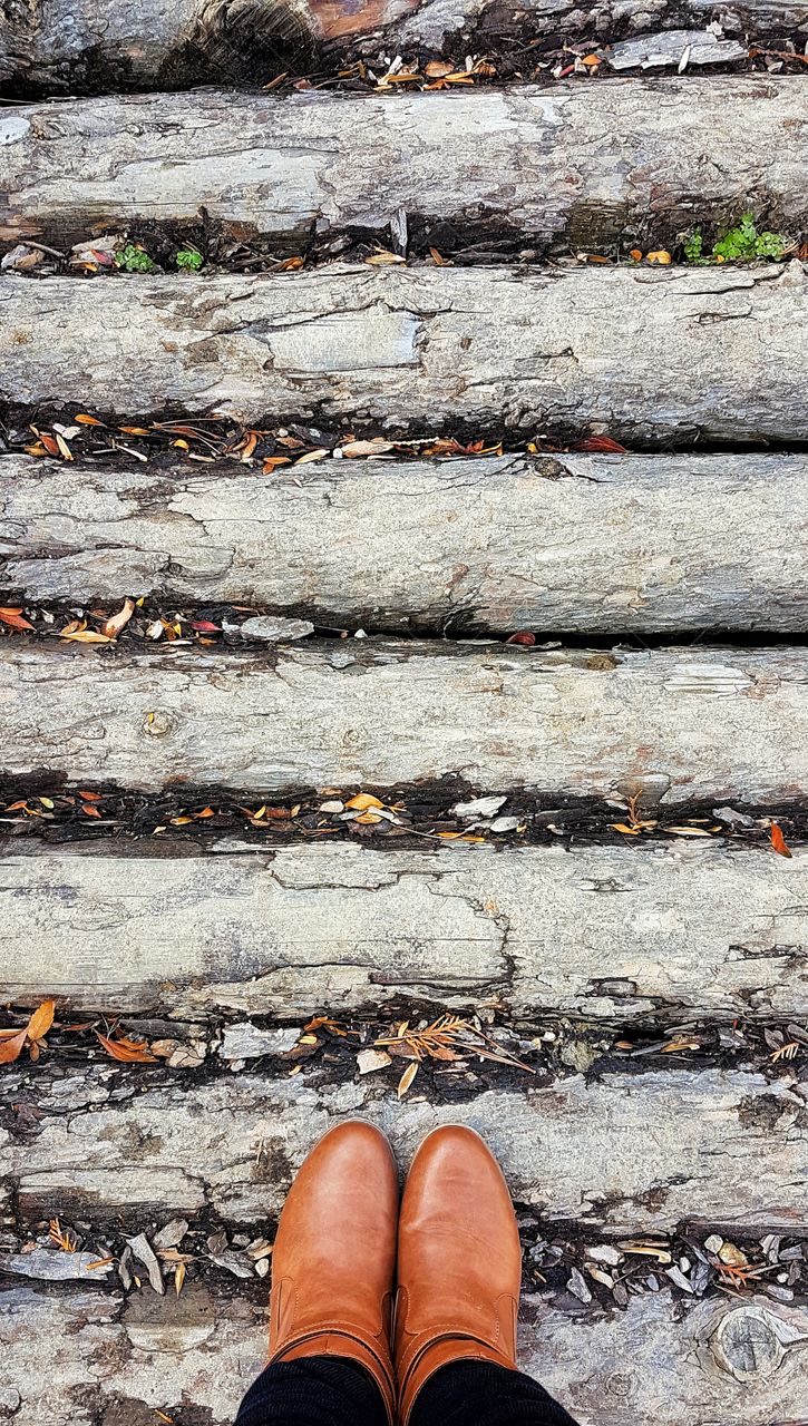 wooden walkway at nami island, seoul, south korea