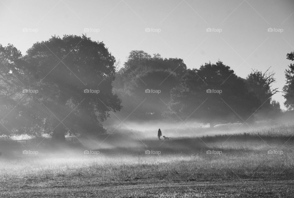 Early morning winter mist photo. Black and white landscape. 