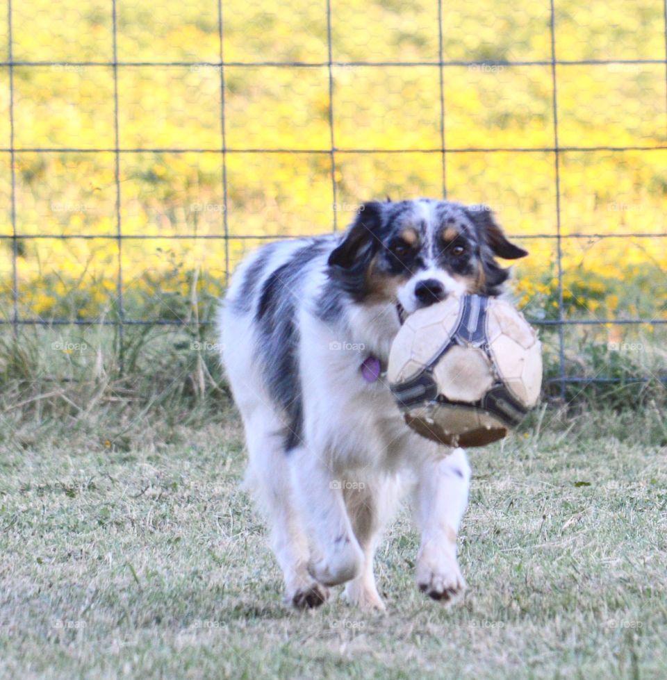 Play ball. 