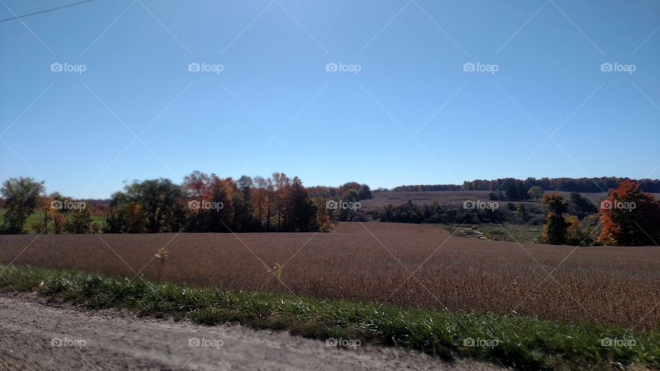 Landscape, Tree, No Person, Fall, Agriculture