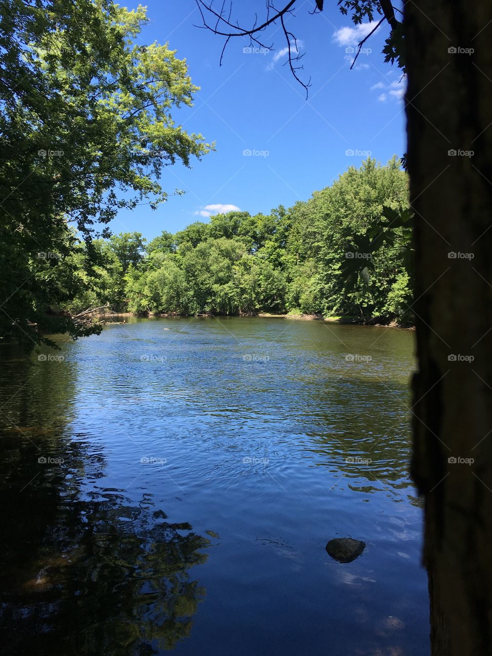 River from the shadows