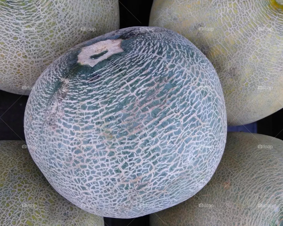 Fresh melon fruit on market