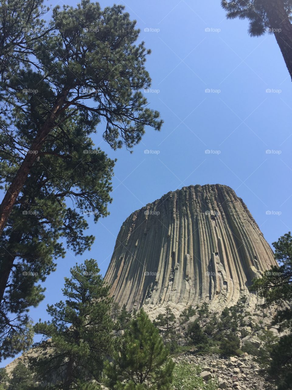 Devil's Tower