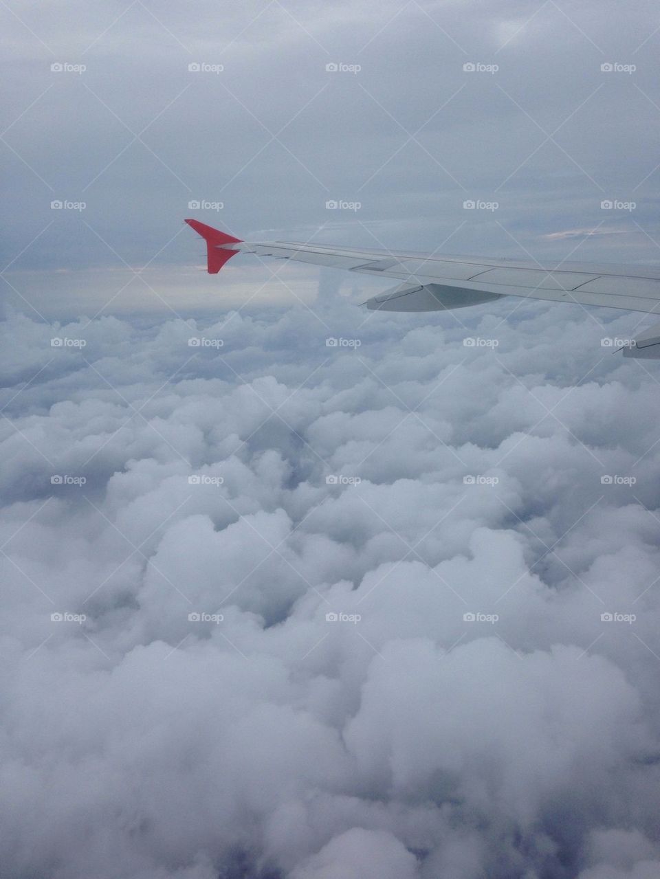 In the clouds