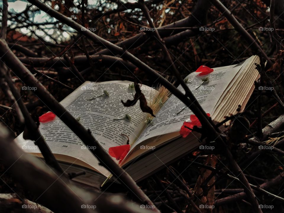 Hope you like my experiment where i combine two thinga i love, nature and books