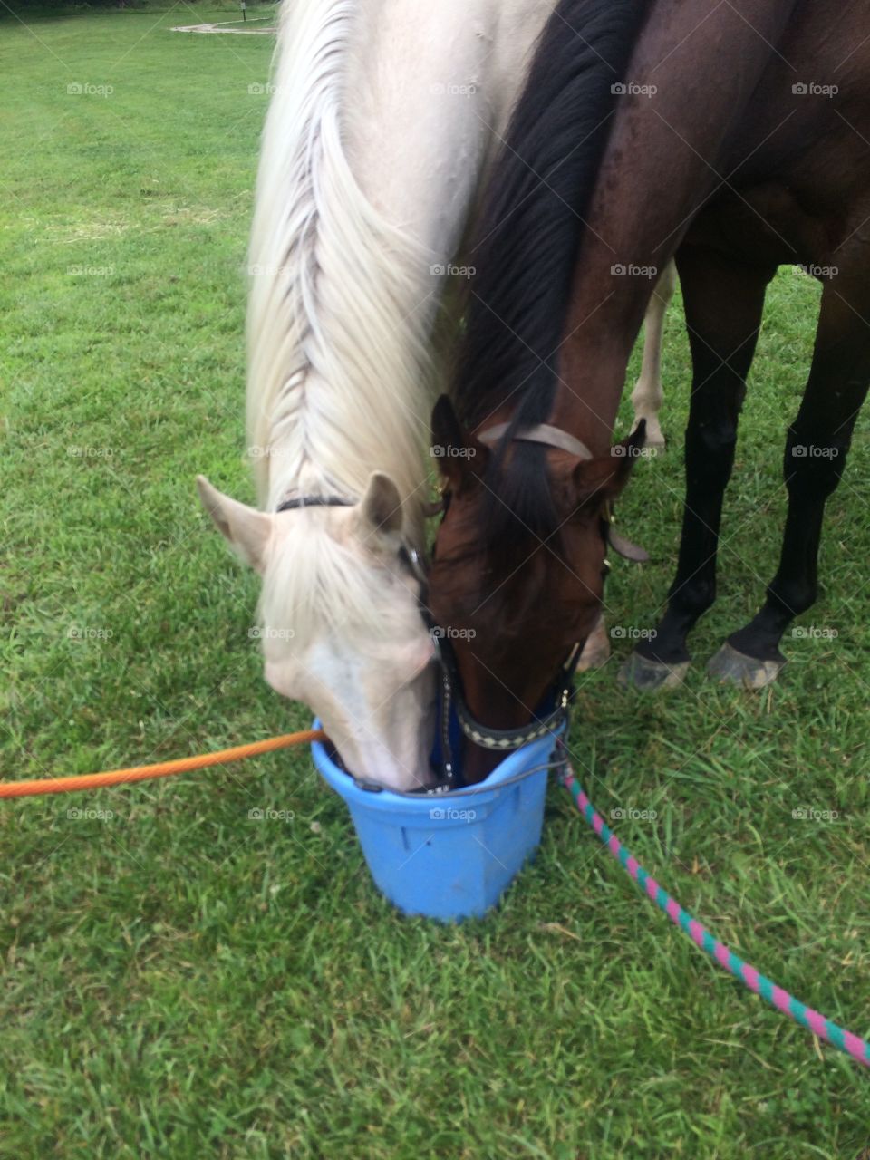 Drinking after riding 