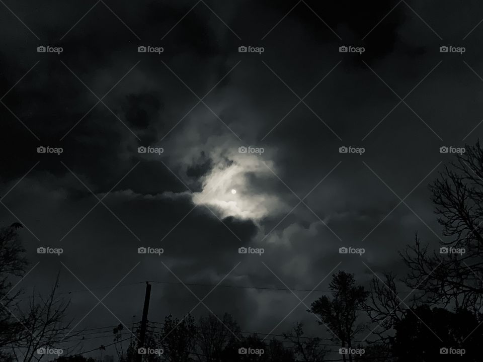 A moonlit night is a magical sight. I just love when the clouds roll through, to make the sky more interesting. 