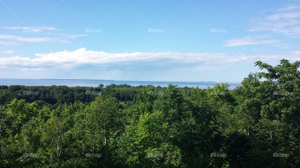 lake beyond the trees