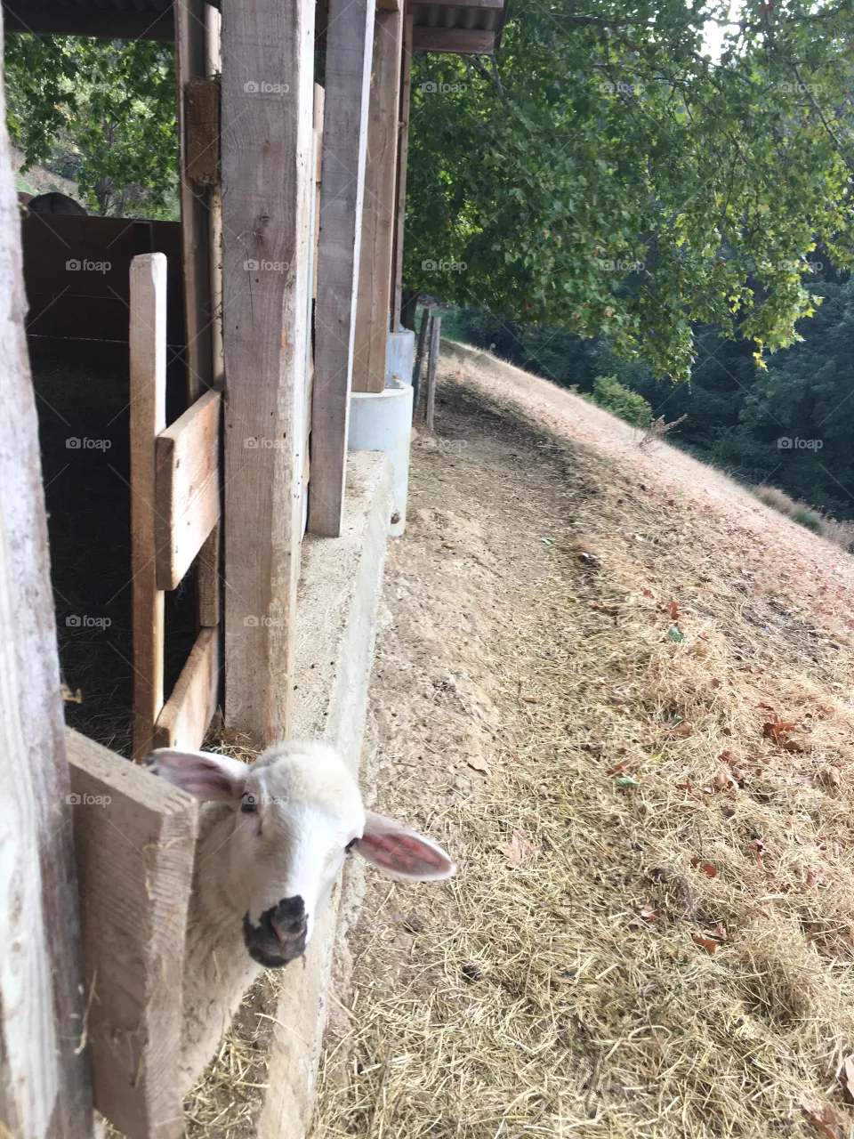 Hello !