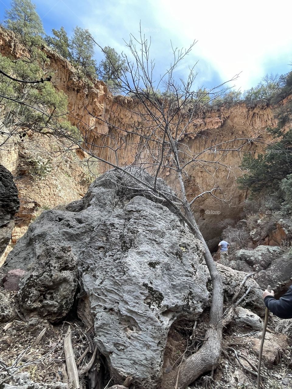 Diversity’s of rocks formations 