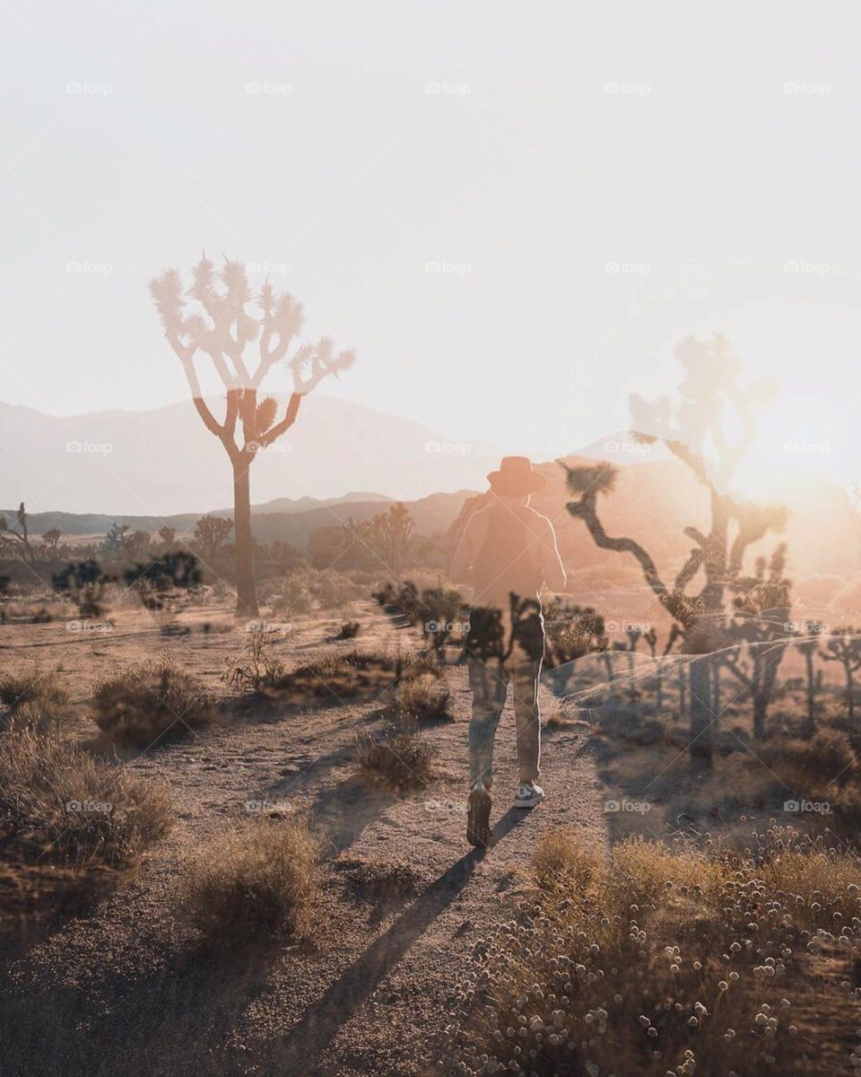 Experimenting with double exposures let me know what you think 💭
.
Shot was taken during sunset at Joshua Tree 🏜
.
#nature #joshuatree #nomademoderne #sunset#goldenhour #sonyalpha #doublexposure#whpjourney