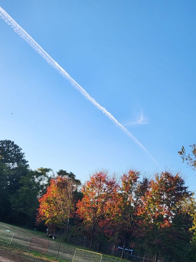 Fall Activities