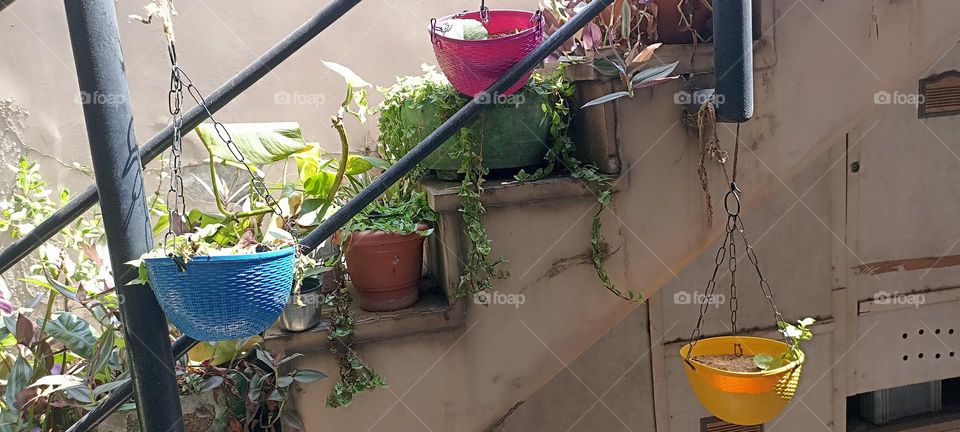 gardens with beautiful colorful pots that enhance the beauty of the plants are the best friendly way