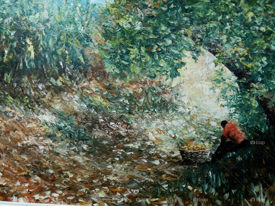 Fish, No Person, Underwater, Water, Invertebrate