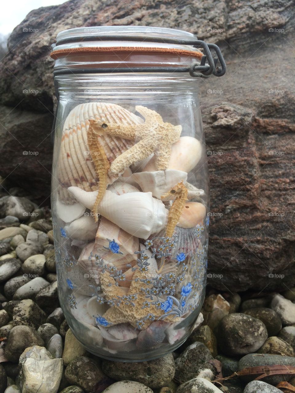 Seashell in jar