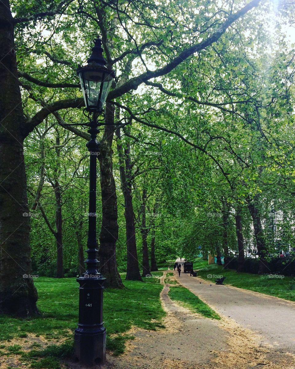 London park ❤️