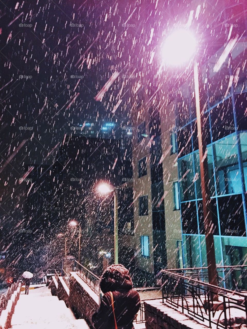 snowfall in the city