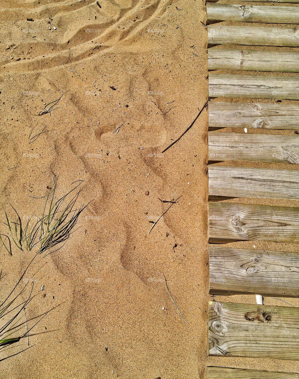 beach pretty weed wood by somebeach