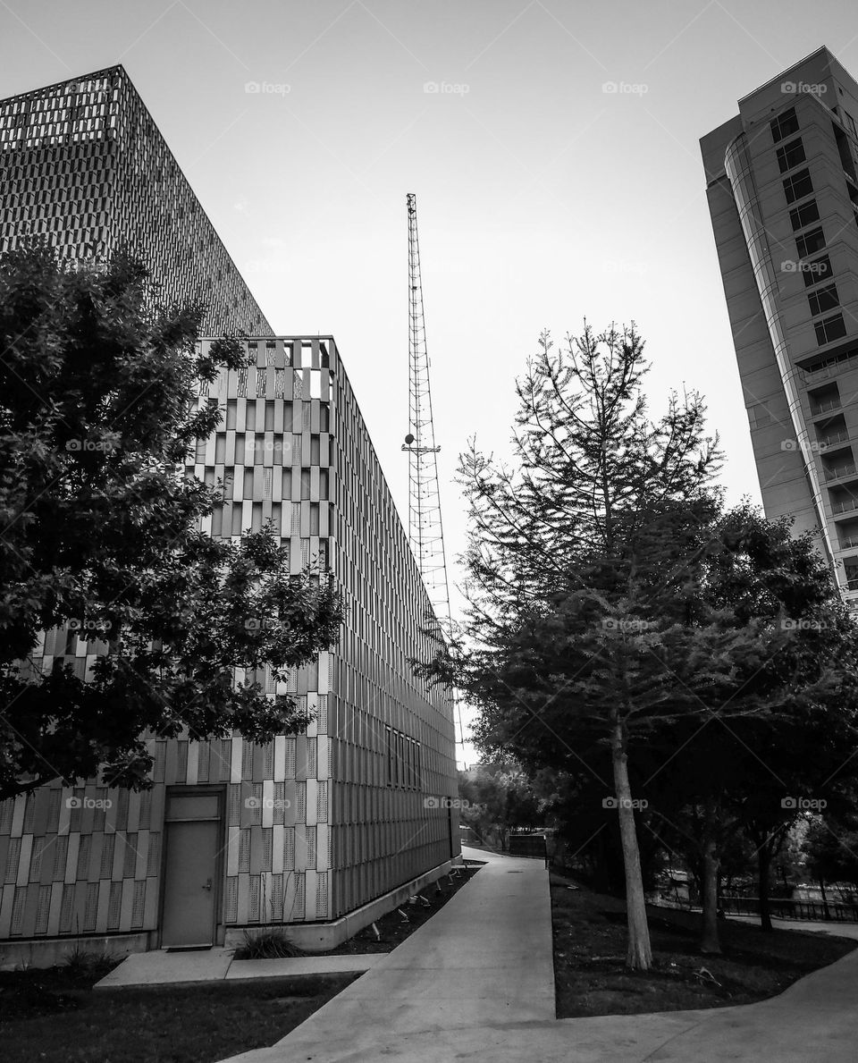 Modern architecture in black and white.