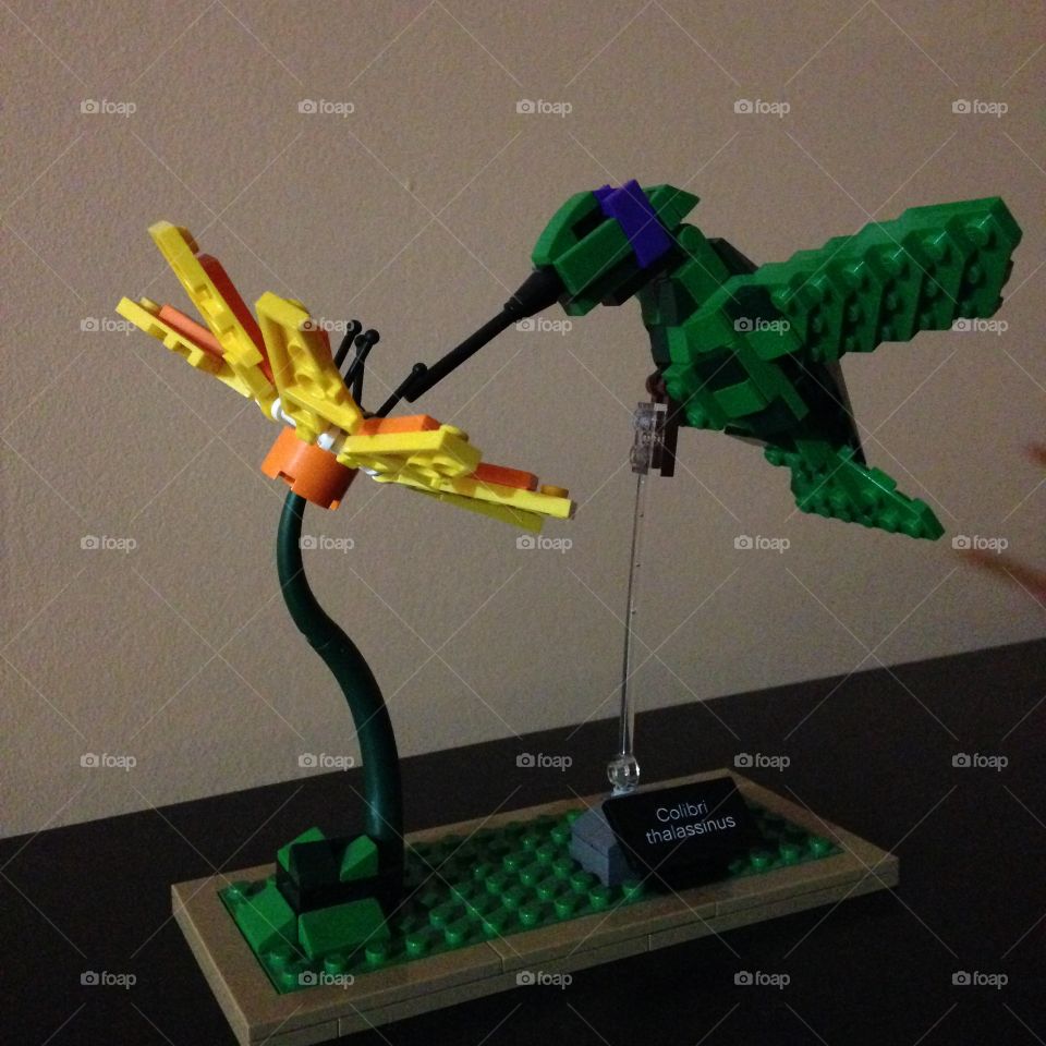 Lego bird, colibri thalassinus