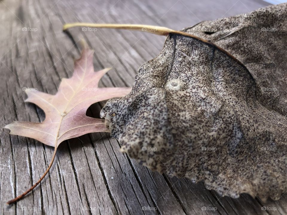 Crispy leaves