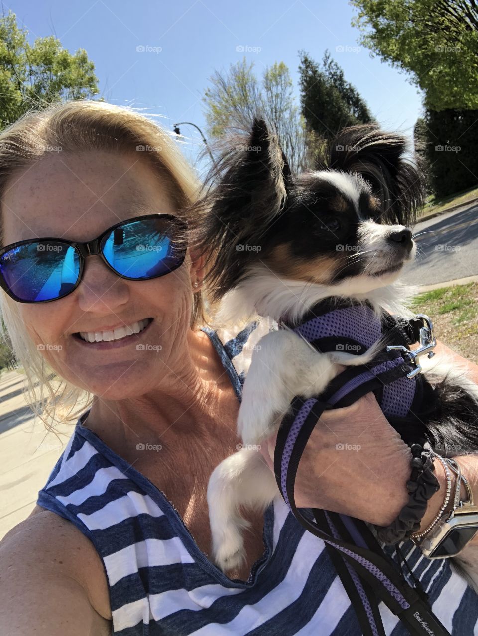 Afternoon walk with the puppy