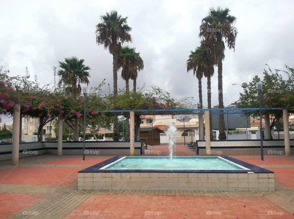 A fountain and palm trees, pink blossoms