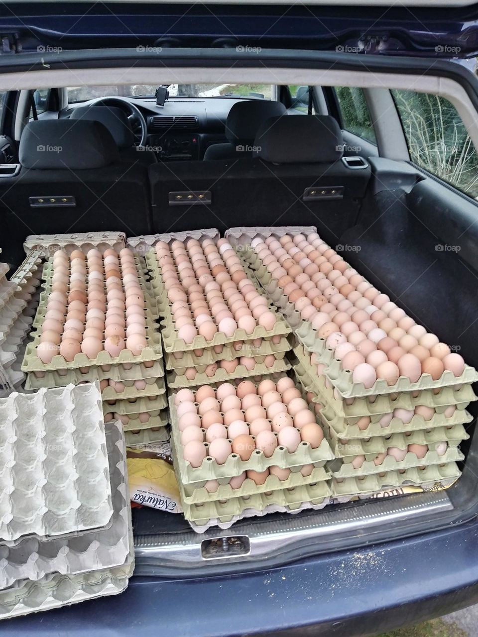 Eggs from farm hens. Photo before heading to the market.