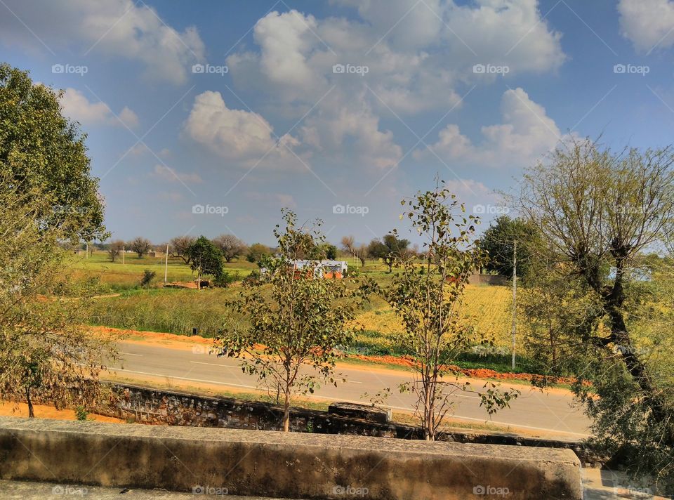 Empty road near the agriculture field