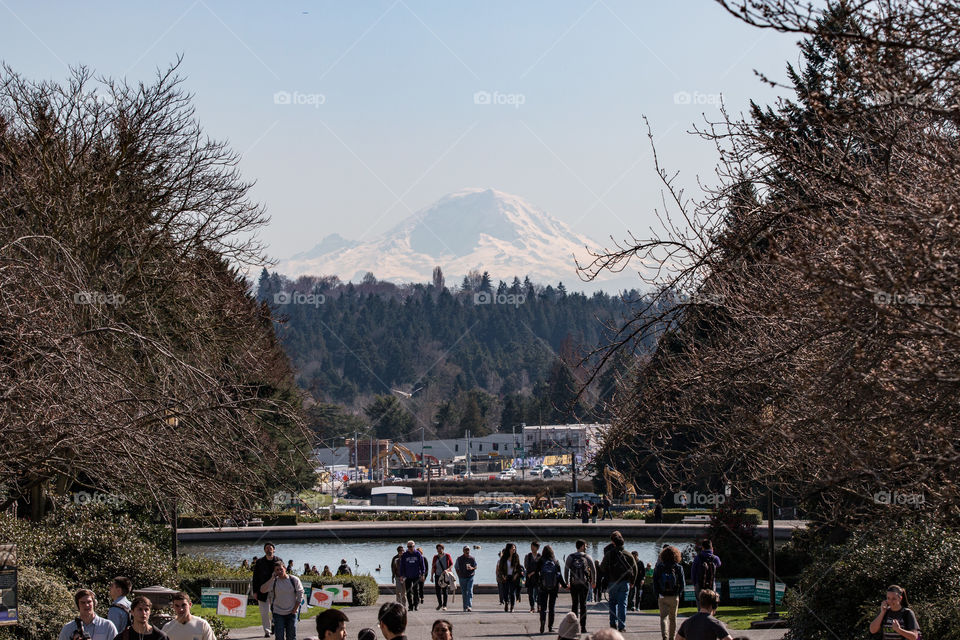 Mountain view from city